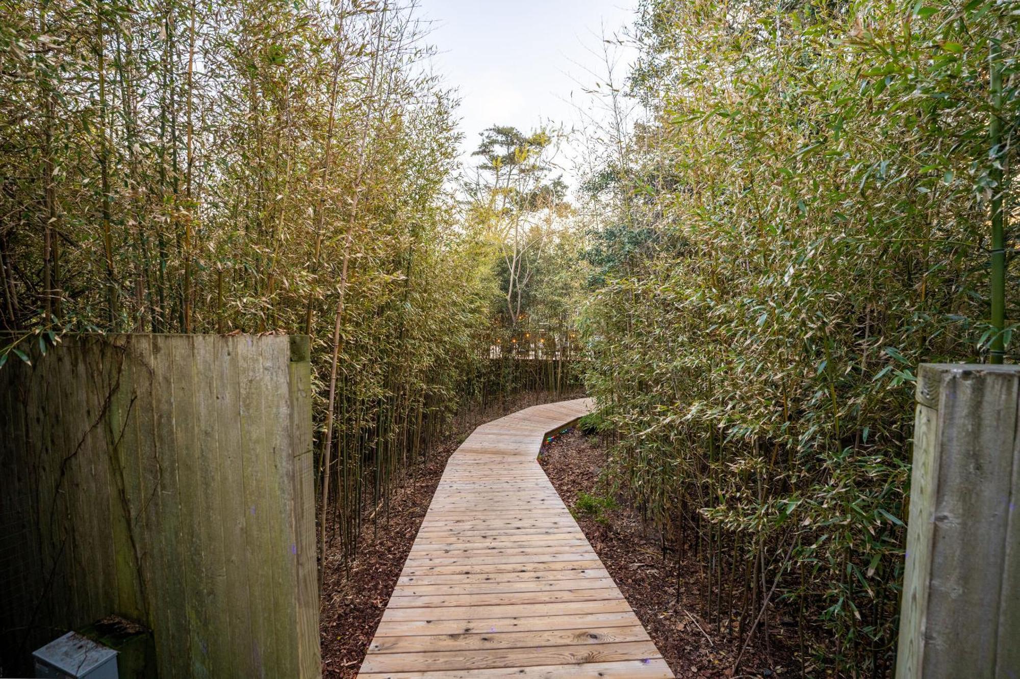 Hotel The Madison Fire Island Pines Exterior foto